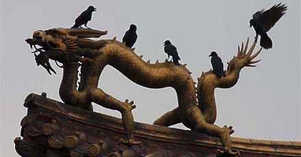 为什么没有鸟敢在故宫的屋顶拉屎？