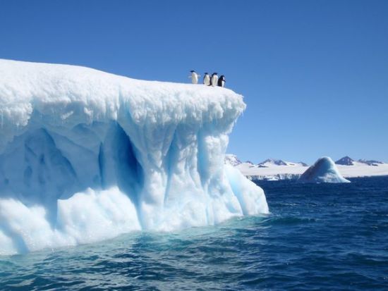 世界上最干旱的地方是南极洲