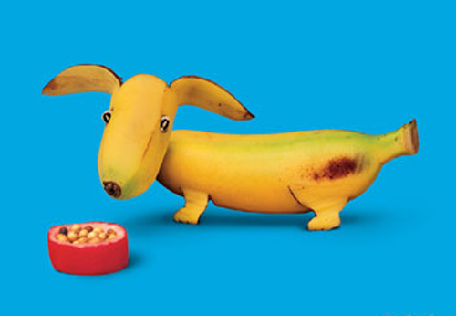 香蕉中的75%都是水，虽然它们看起来干干的