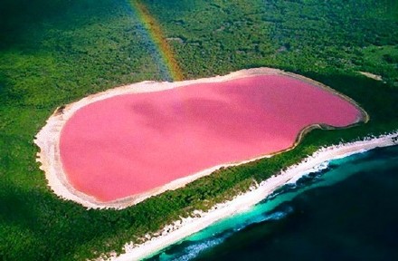 位于澳大利亚的Lake Hillier的粉色湖泊