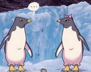 公企鹅给母企鹅送光滑的小石子当定情信物