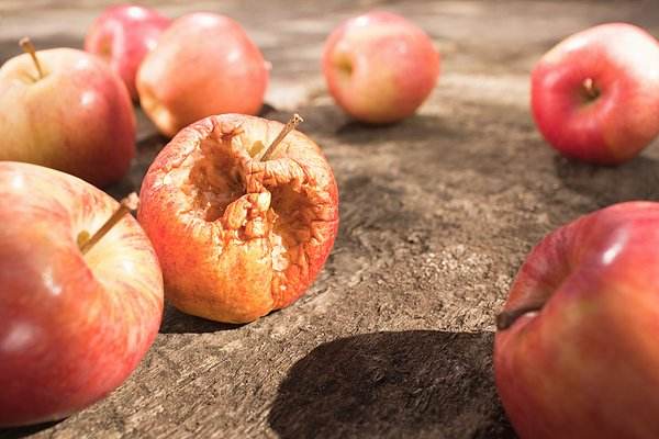 1个腐烂的苹果所散发的乙烯气体会让整箱苹果变质。
