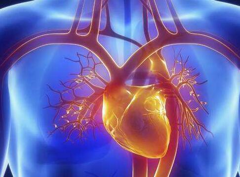 心脏每次收缩大约喷出70毫升的血液