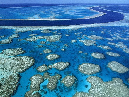 大堡礁（Great Barrier Reef：地球上最大的生命结构体