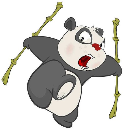 熊猫在唐朝时就送给了日本