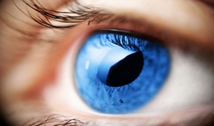 眼角膜是不接受血液的唯一器官
