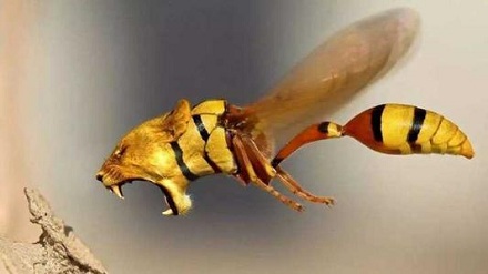 世界上最危险的蜜蜂是什么？