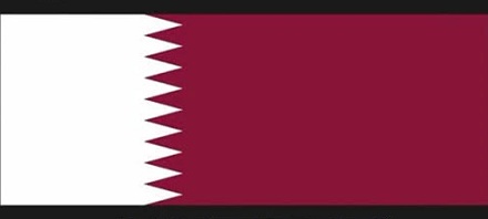 8、卡塔尔的国旗是最长的