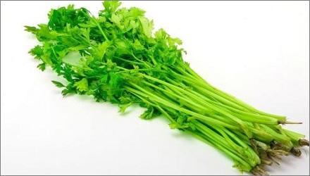 芹菜叶和芹菜茎哪个营养价值更高？