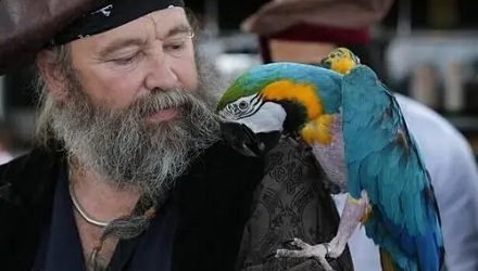 海盗船长为什么总喜欢养鹦鹉呢？