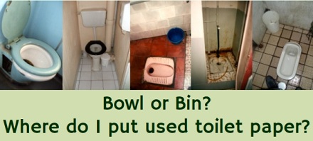 上完厕所的纸到底应该扔哪？